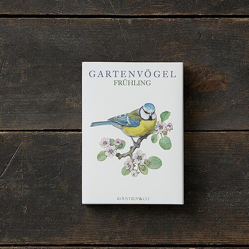 GARTENVÖGEL FRÜHLING - 8 kort (tysk)