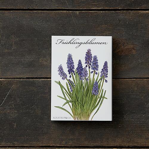FRÜHLINGSBLUMEN - 8 Karte (tysk)