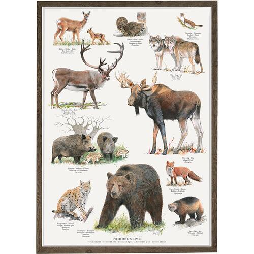 NORDENS DYR - Plakat A2