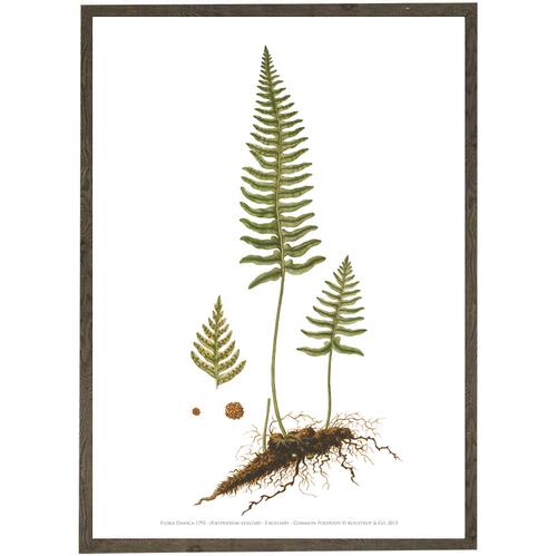 Engelsød A2 - KUNSTPRINT