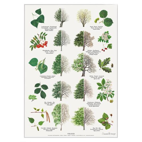 TRYK A4 - Træer