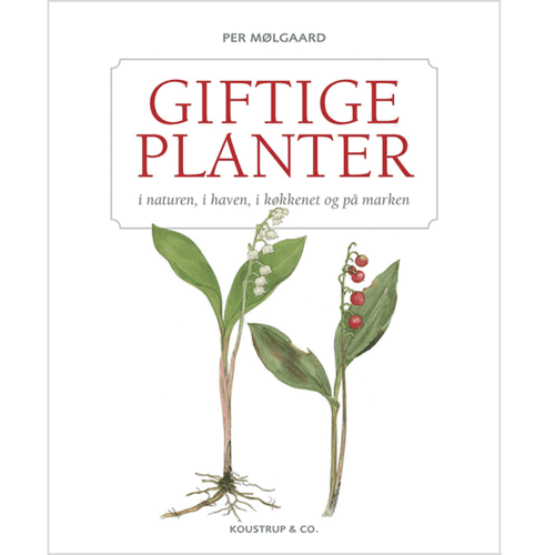 GIFTIGE PLANTER - Førpris 350 kr.