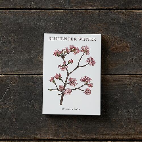 BLÜHENDER WINTER - 8 kort (tysk)
