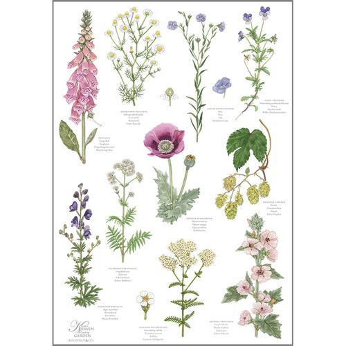 ØKOLOGISK VISKESTYKKE - Klosterhaven