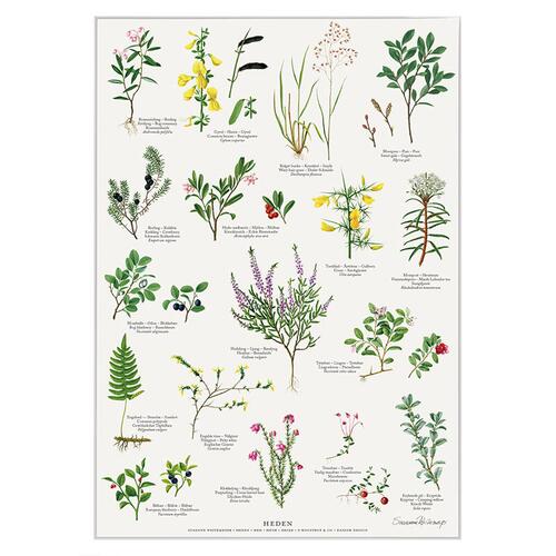 TRYK A4 - Heden - UDSOLGT