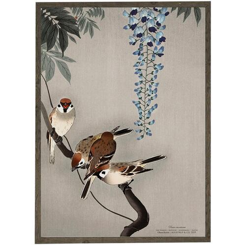 Skovspurve - Ohara Koson