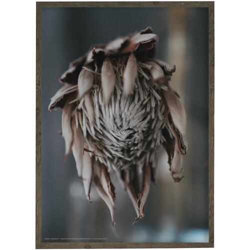 METAMORPHOSIS - Fotokunst - Vælg størrelse