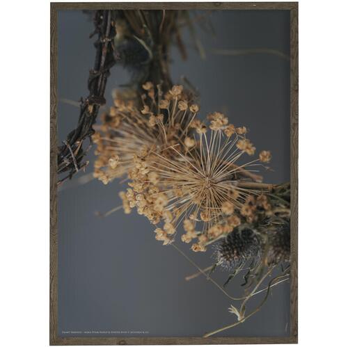 FOREVER FIREWORKS - Fotokunst - Vælg størrelse