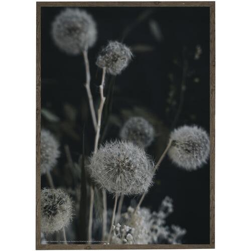 SUMMER GHOSTS - fotokunst - vælg størrelse