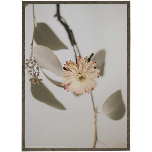 ETERNITY IN A FLOWER - Fotokunst - Vælg størrelse