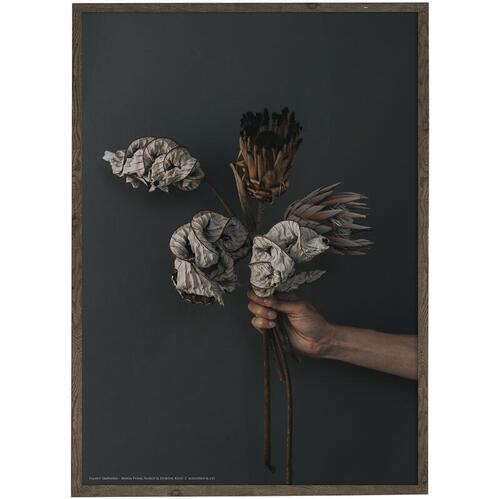 A WINKLE IN TIME - Fotokunst - VÆLG STØRRELSE