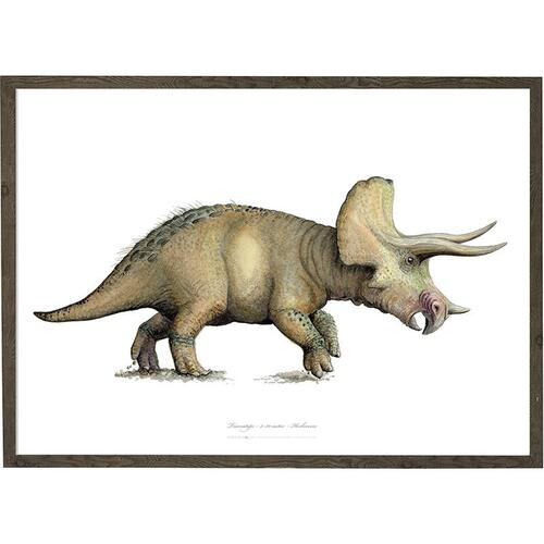 Triceratops - KUNSTPRINT - VÆLG STØRRELSE
