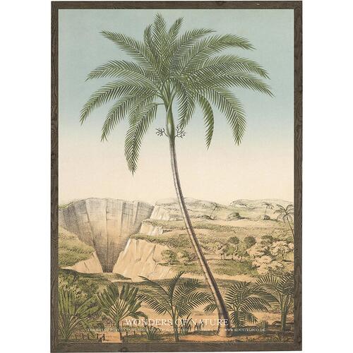 Isle of Bory da Saint Vincent - KUNSTPRINT - VÆLG STØRRELSE