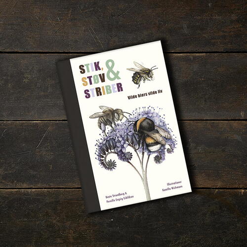 STIK, STØV OG STRIBER - UDSOLGT