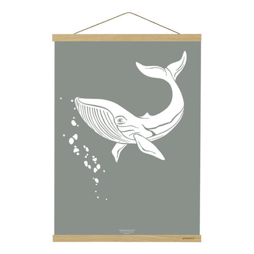 MAGNETSKINNE B2 - Eg