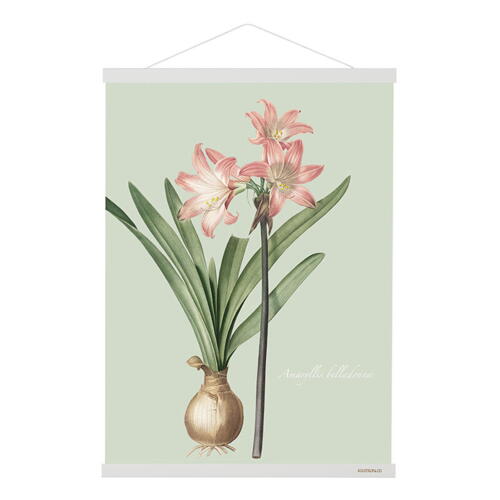 MAGNETSKINNE B2 - Hvid