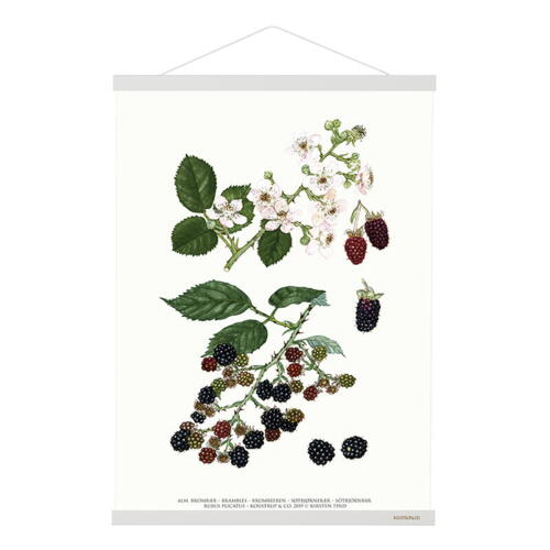 MAGNETSKINNE B1 - Hvid