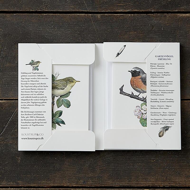 GARTENVÖGEL FRÜHLING - 8 kort (tysk)