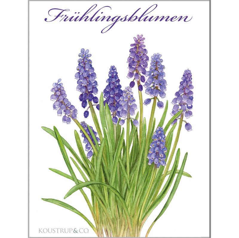 FRÜHLINGSBLUMEN - 8 Karte (tysk)