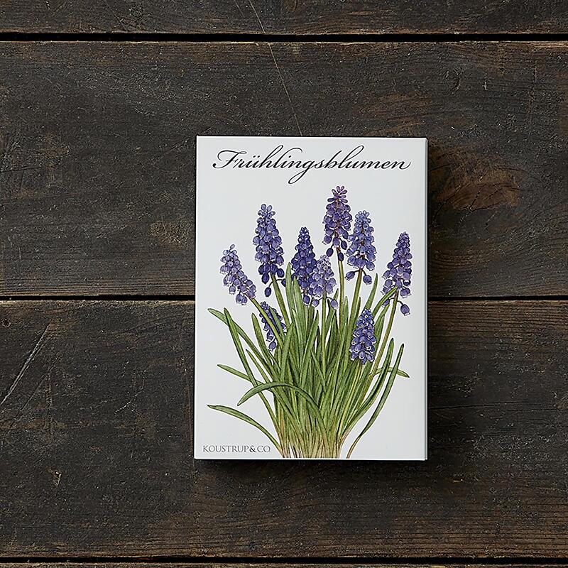 FRÜHLINGSBLUMEN - 8 Karte (tysk)