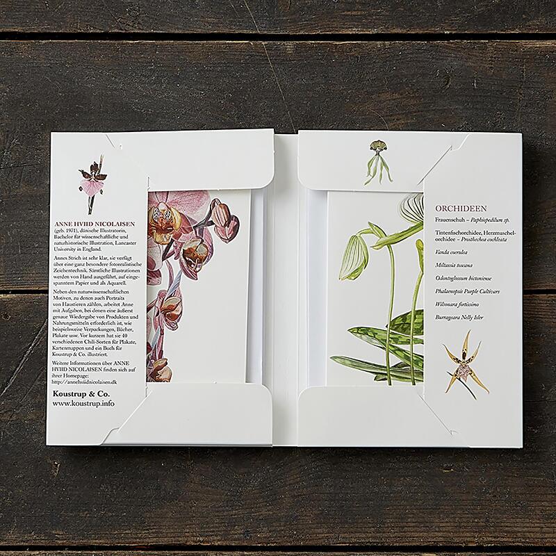 ORCHIDEEN - 8 kort (tysk)