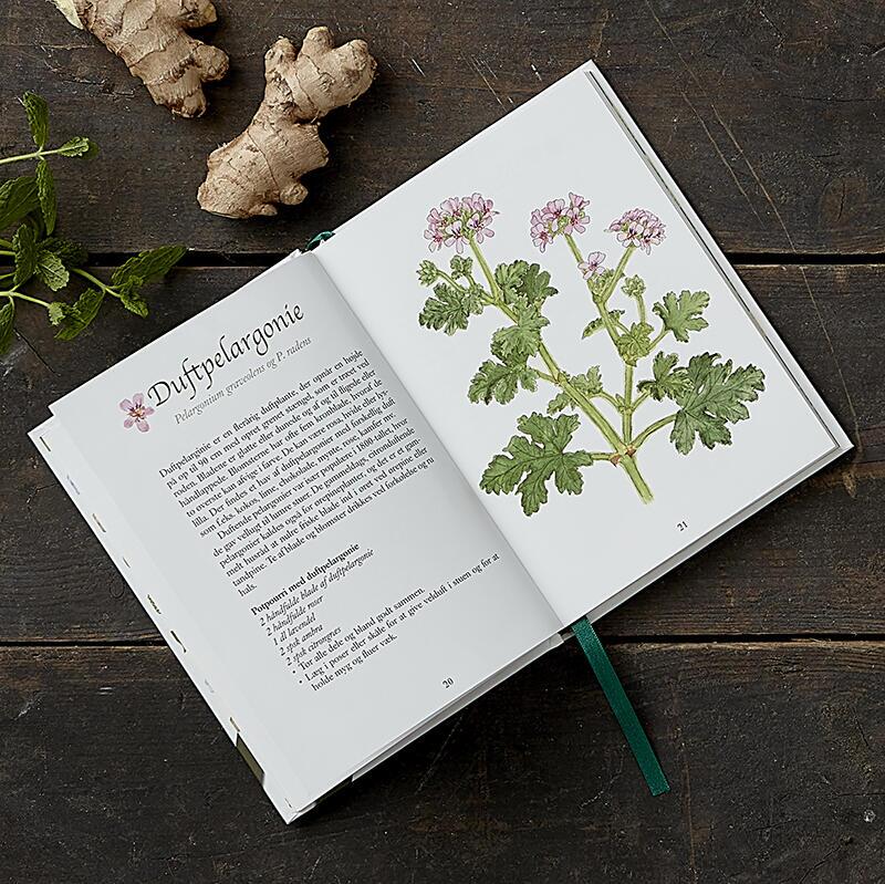 BOG: MIT GRØNNE APOTEK naturens lægeurter