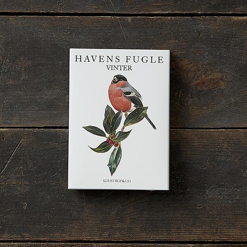 HAVENS FUGLE VINTER - 8 kort