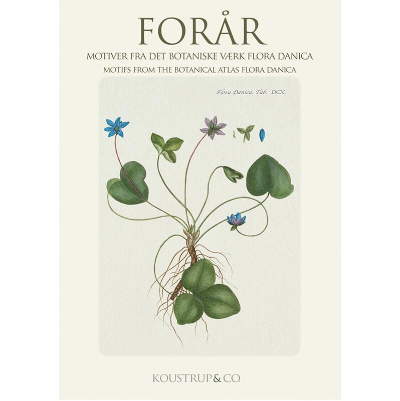 FORÅR - FD - 8 kort