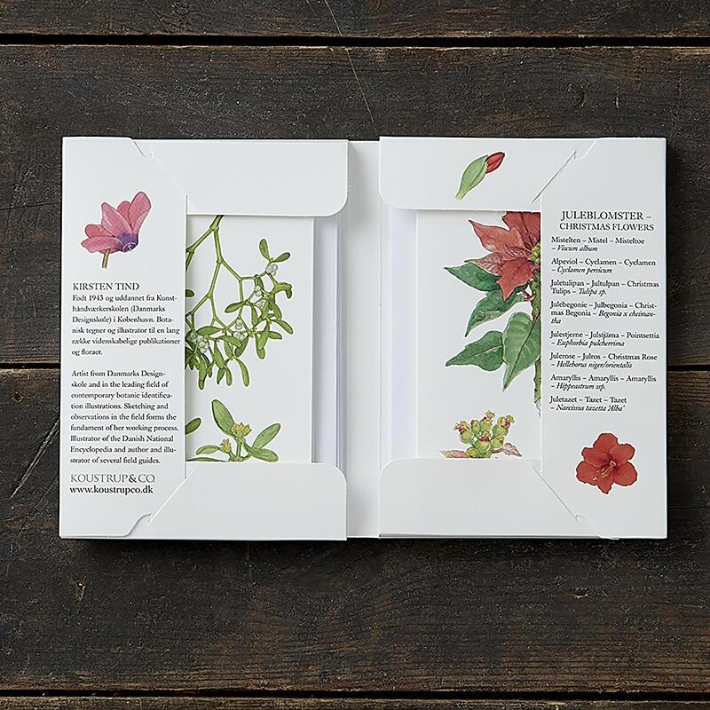 JULEBLOMSTER - 8 kort