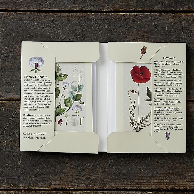 SOMMER - FD - 8 kort