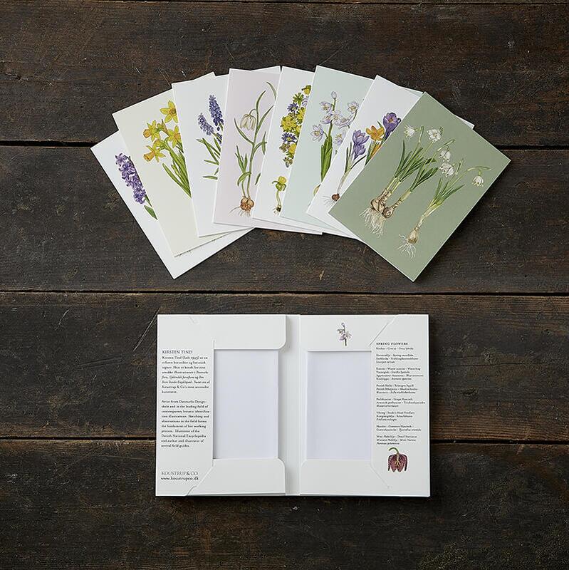 FORÅRSBLOMSTER - 8 KORT