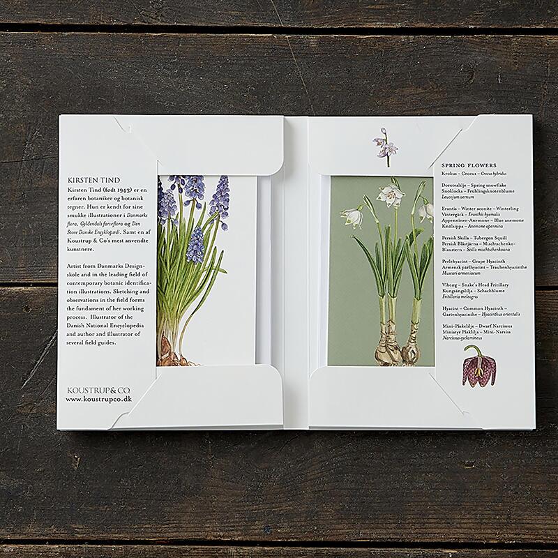 FORÅRSBLOMSTER - 8 KORT