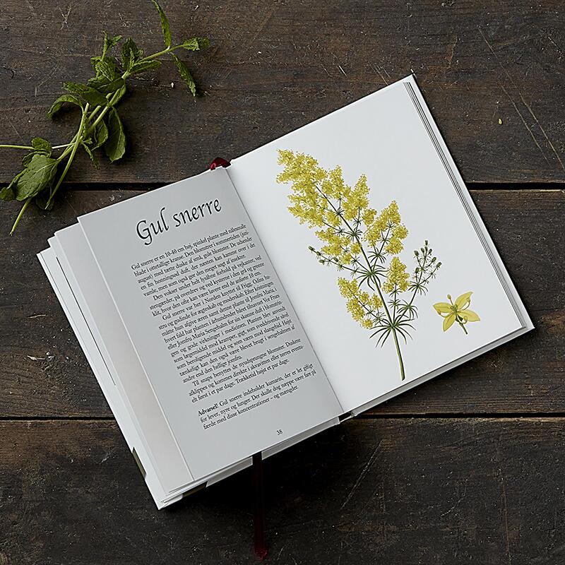 KRYDDERSNAPS - Velsmag på flasker - UDSOLGT