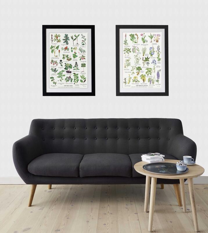 GIFTIGE BÆR - Plakat A2