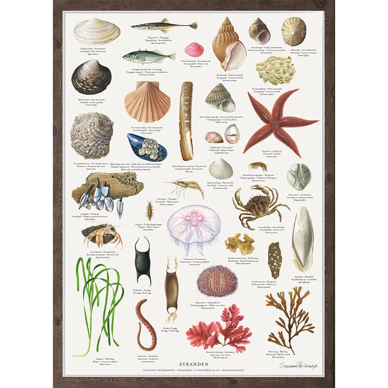 STRANDEN - Plakat A2