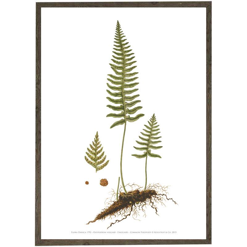 Engelsød A2 - KUNSTPRINT