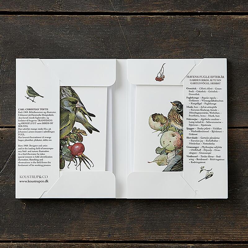 HAVENS FUGLE EFTERÅR - 8 kort