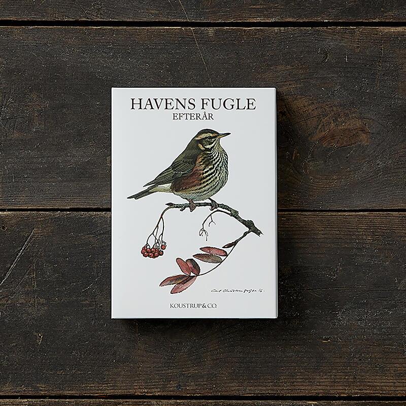 HAVENS FUGLE EFTERÅR - 8 kort