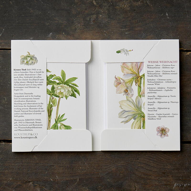 BOUQUETS - 8 kort (tysk)