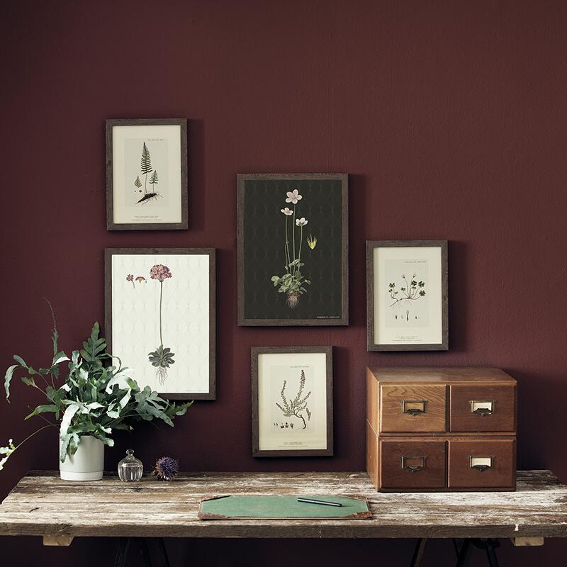 ART PRINT A3 - Bird's-eye primrose