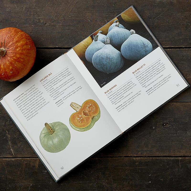 BOKA: SMAKEN AV PUMPA (Dansk text) - INTE I LAGER