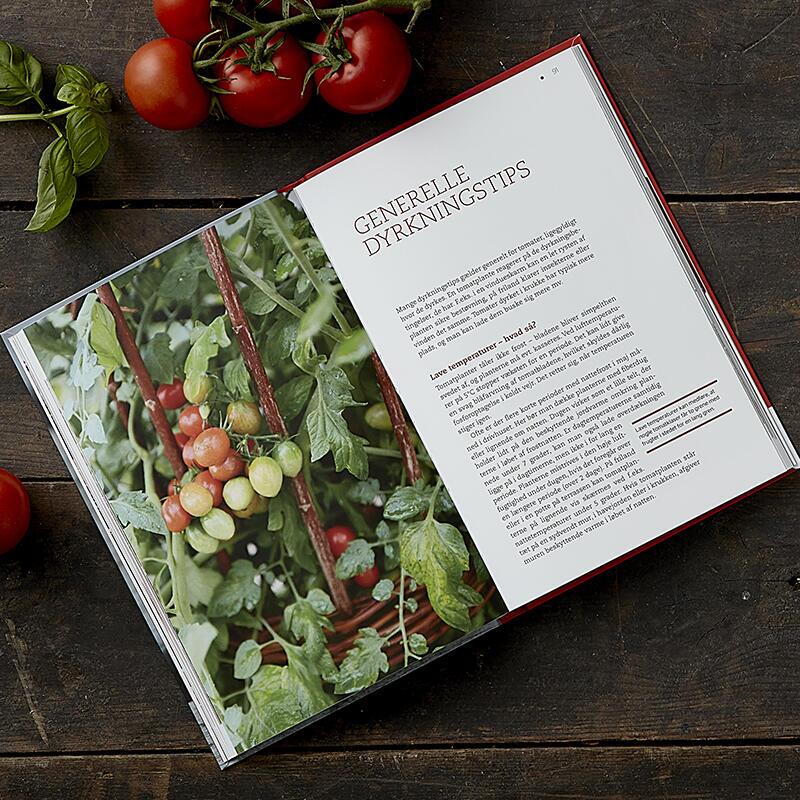 BOKA: DE NYA RÖDA OM TOMATERNA