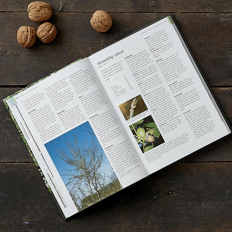 BOOK: Denmark's trees and shrubs (danish text)