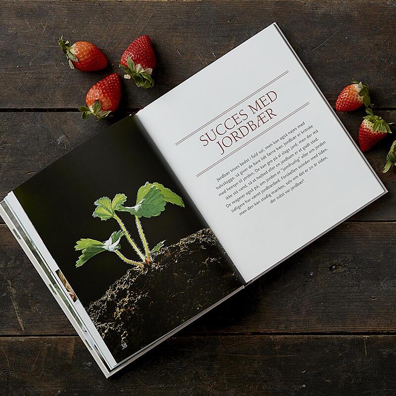 BOKA: smaken av jordgubbar (Dansk text)