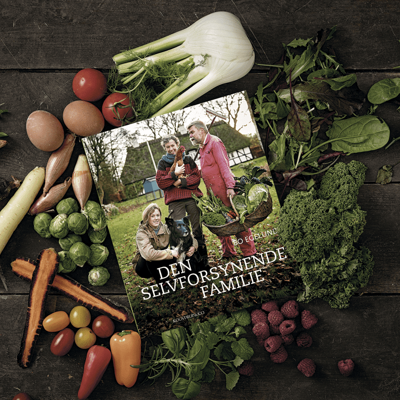 BOKA: DEN SJÄLVFÖRVÄNDANDE FAMILJEN