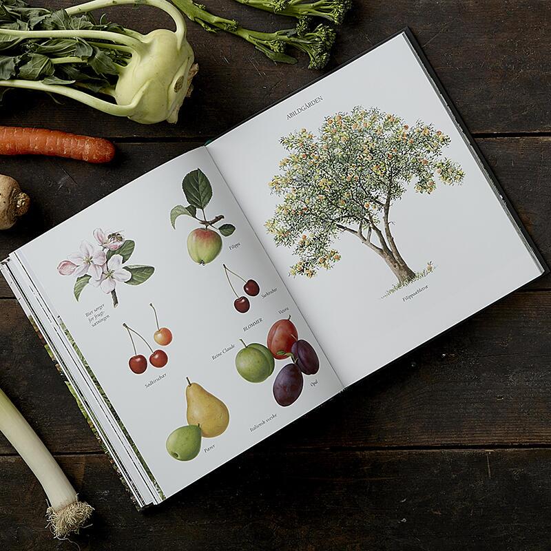 BOKA: DEN SJÄLVFÖRVÄNDANDE FAMILJEN