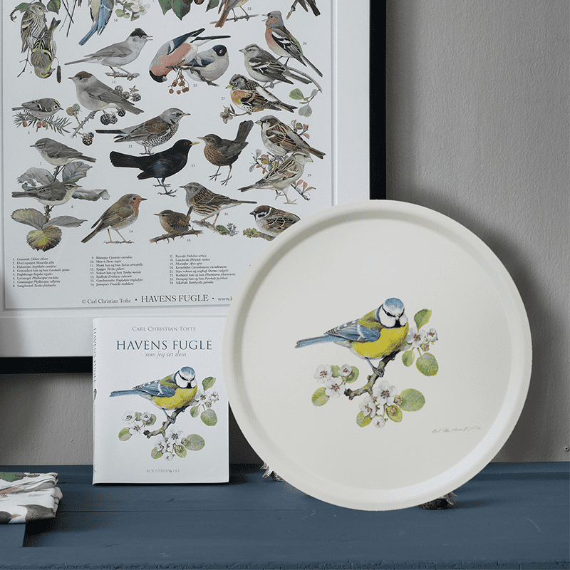 BOOK: Garden birds - about life and appearance