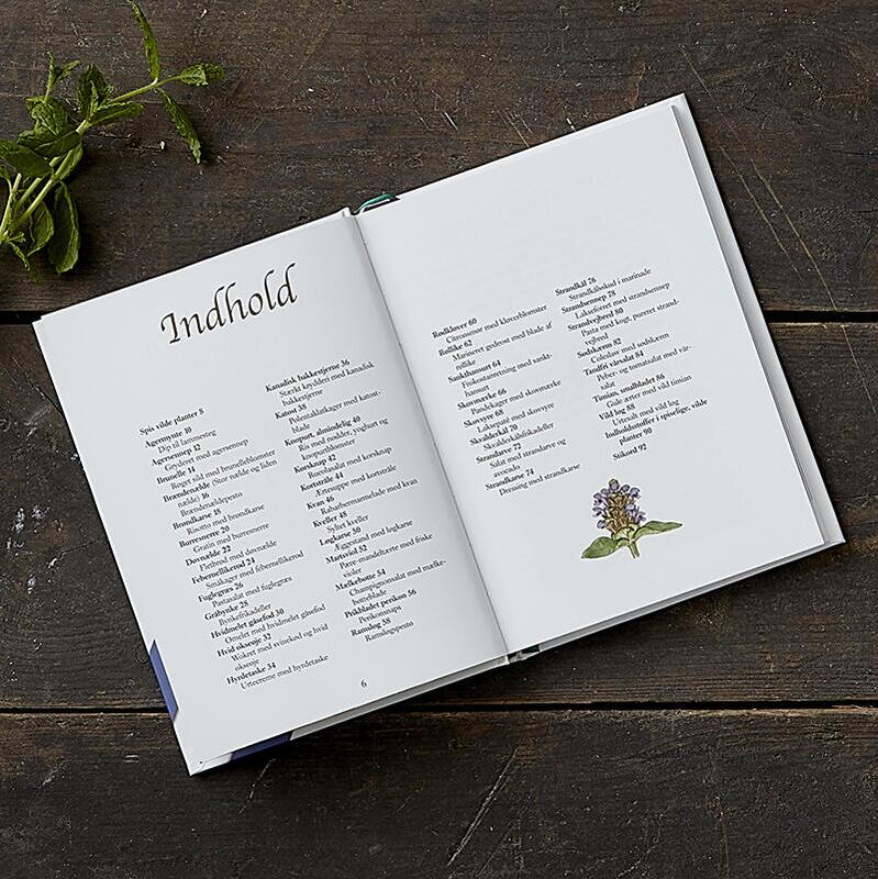 BOKA: ÄTBARA VILDA PLANTER 2: a upplagan