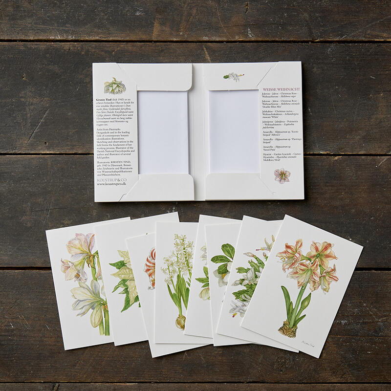 WEISSE WEIHNACHT - 8 kort (tyska)