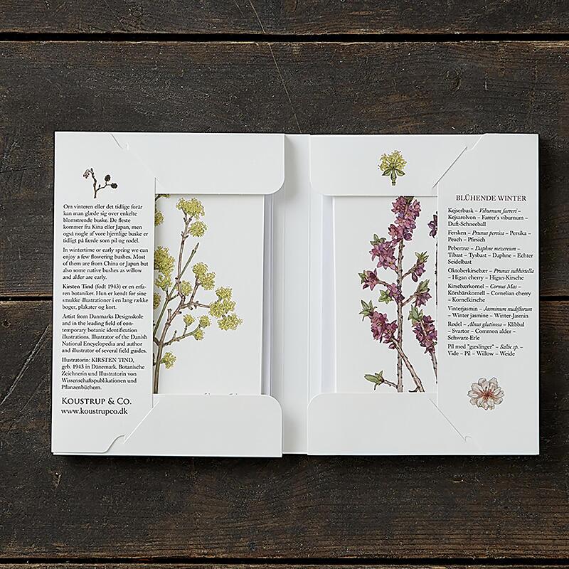 BLÜHENDER WINTER - 8 kort (tyska)